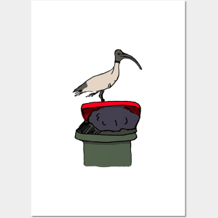 Bin Chicken Posters and Art